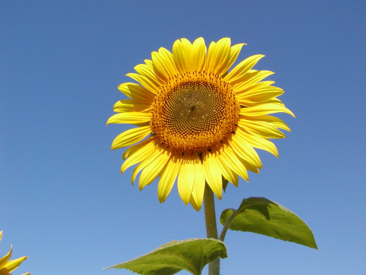 294894 (a): :1600x1200